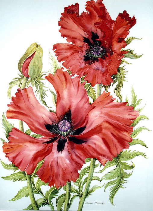 №464960 - оригинал