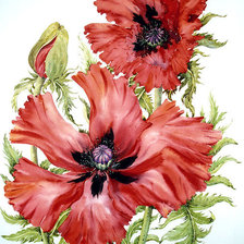 Схема вышивки «№464960»