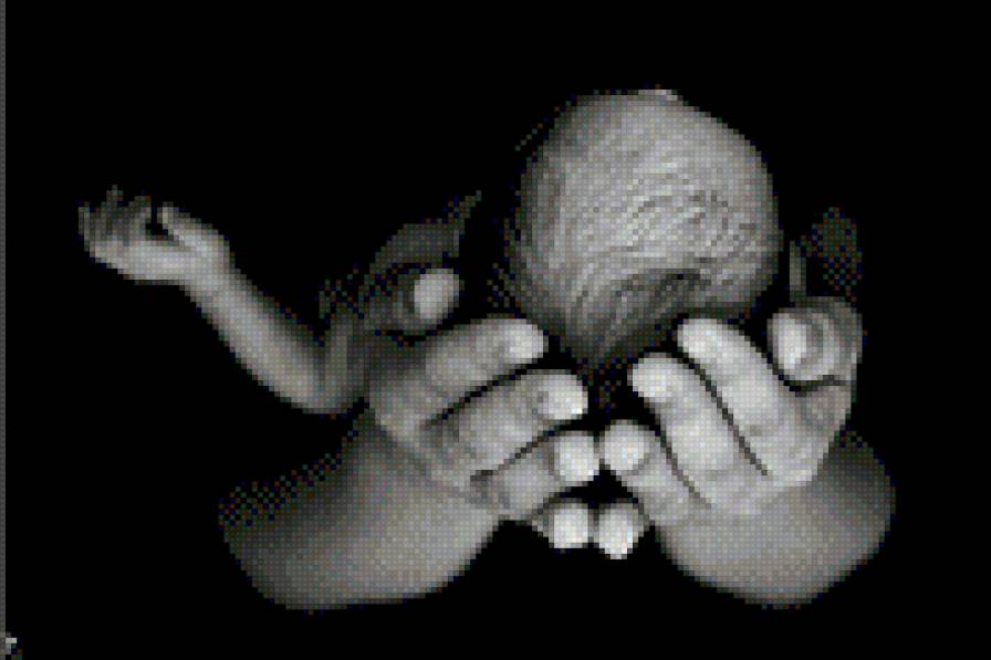 Новая жизнь - ребенок, черно-белое, младенец - предпросмотр