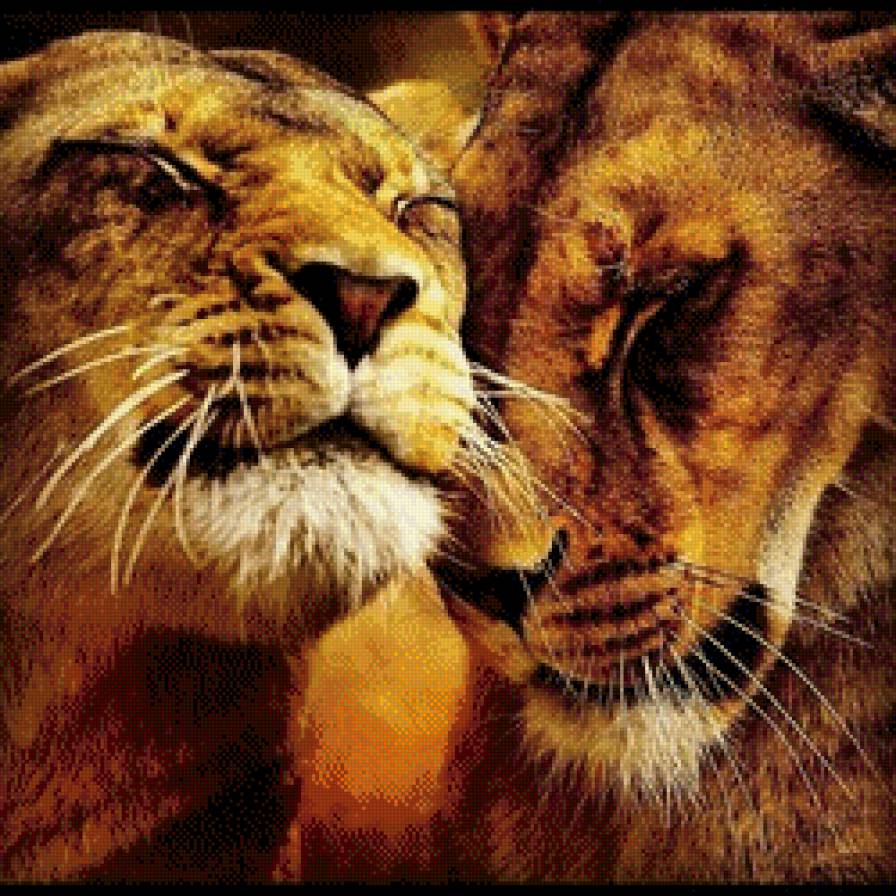 Львы 2 - предпросмотр