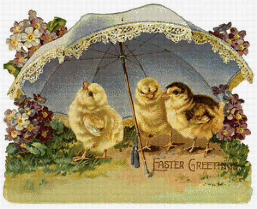 цыплята - предпросмотр