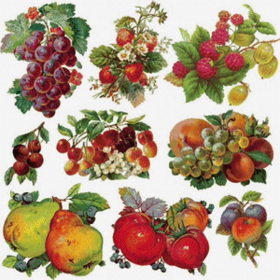 фрукты на салфетки или скатерть - кухня, салфетки, скатерть, фрукты - предпросмотр