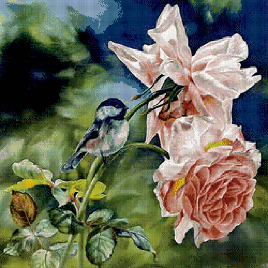 воробей и розы - цветы, птицы, роза - предпросмотр