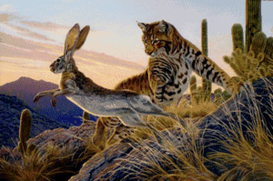 охота - кактус, хищник, животное, заяц, природа, рысь, живопись - предпросмотр