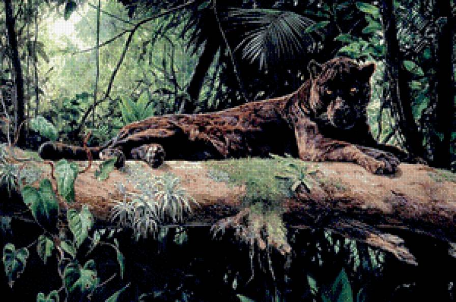 в джунглях - леопард, природа, хищник - предпросмотр