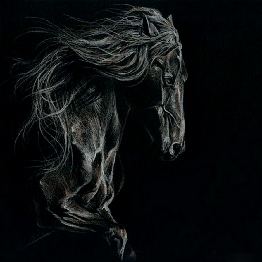 Лошадь на черном фоне. Лошадь на темном фоне. Темная лошадь. Конь на черном фоне. Картина лошадь на черном фоне.