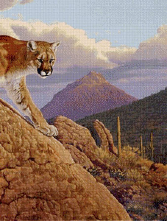 хозяйка прерий часть 2 - хищник, пума, кактус, природа, живопись, горы - предпросмотр