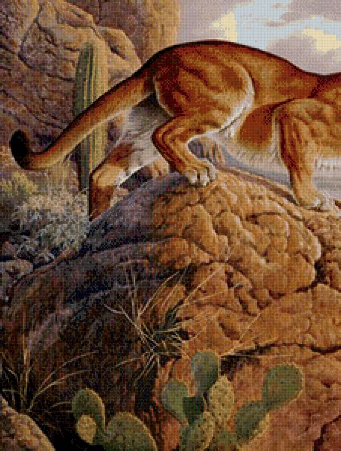 хозяйка прерий часть 1 - природа, кактус, хищник, живопись, горы, пума - предпросмотр