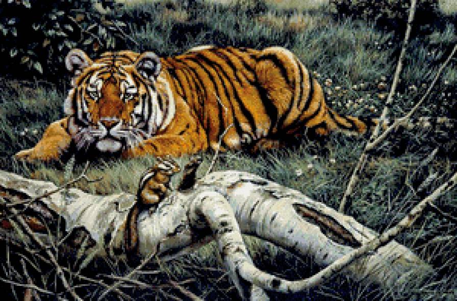 встреча - хищник, тигр, живопись, дерево, сурок, природа - предпросмотр