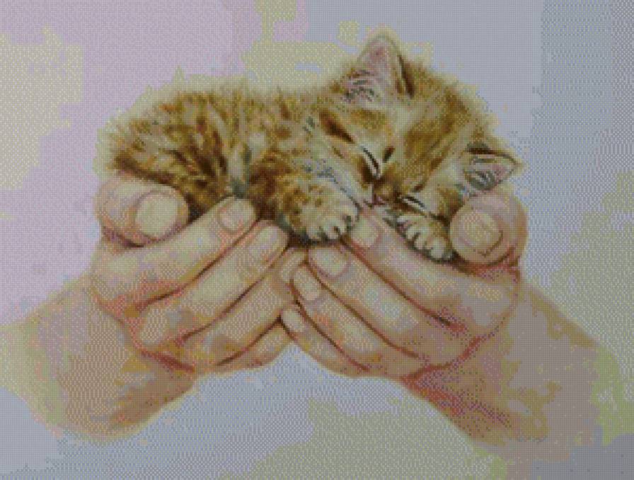 котенок - предпросмотр