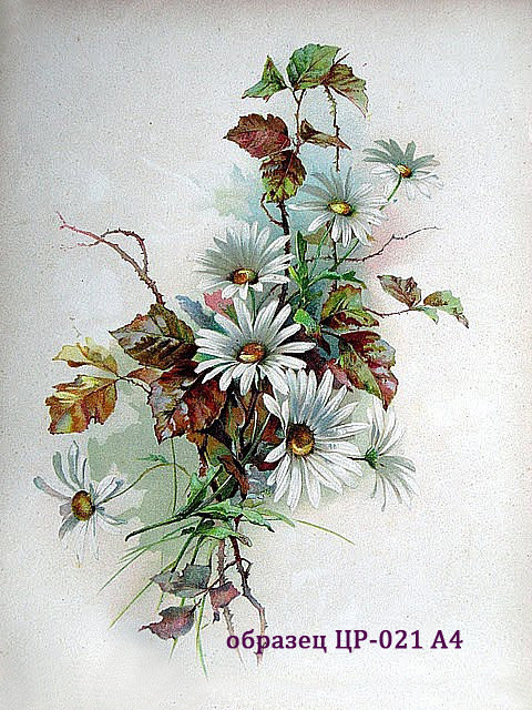 №465401 - оригинал