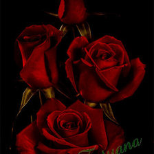 Схема вышивки «№465413»