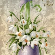 Схема вышивки «№465441»