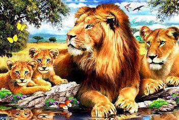 №465448 - оригинал