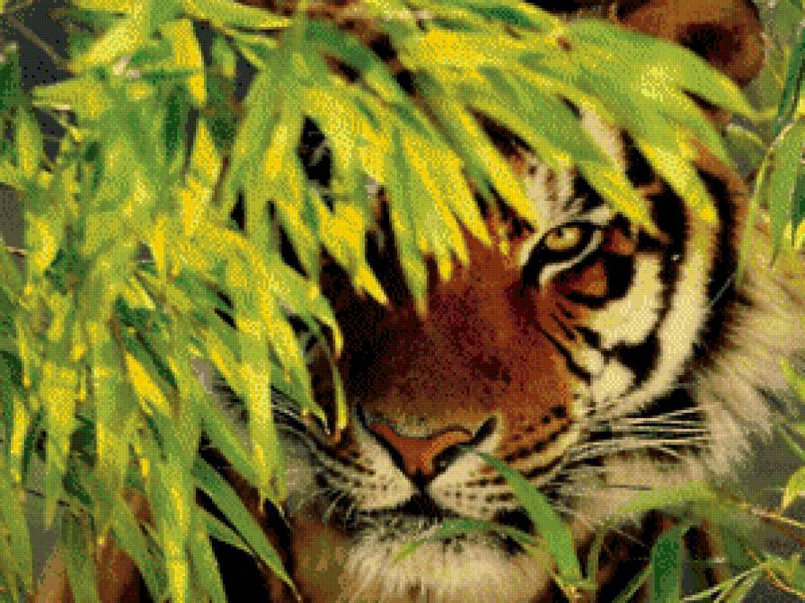 №465455 - предпросмотр