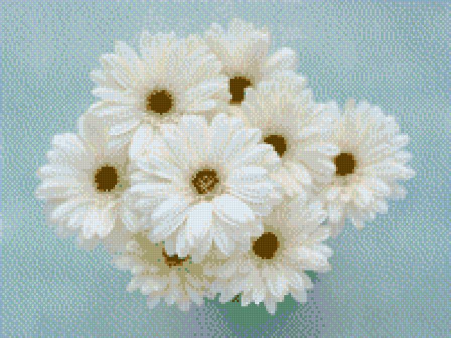 ромашки - цветы, ромашки, букет - предпросмотр