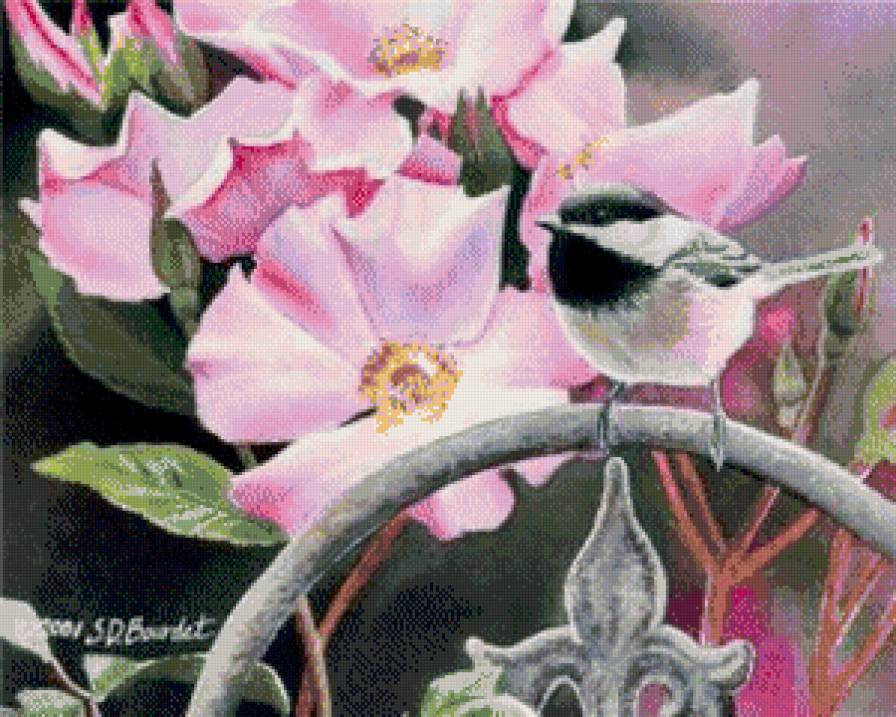 птичка - предпросмотр