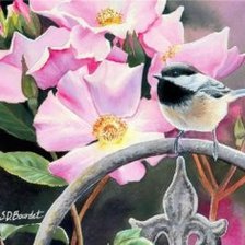 Схема вышивки «птичка»