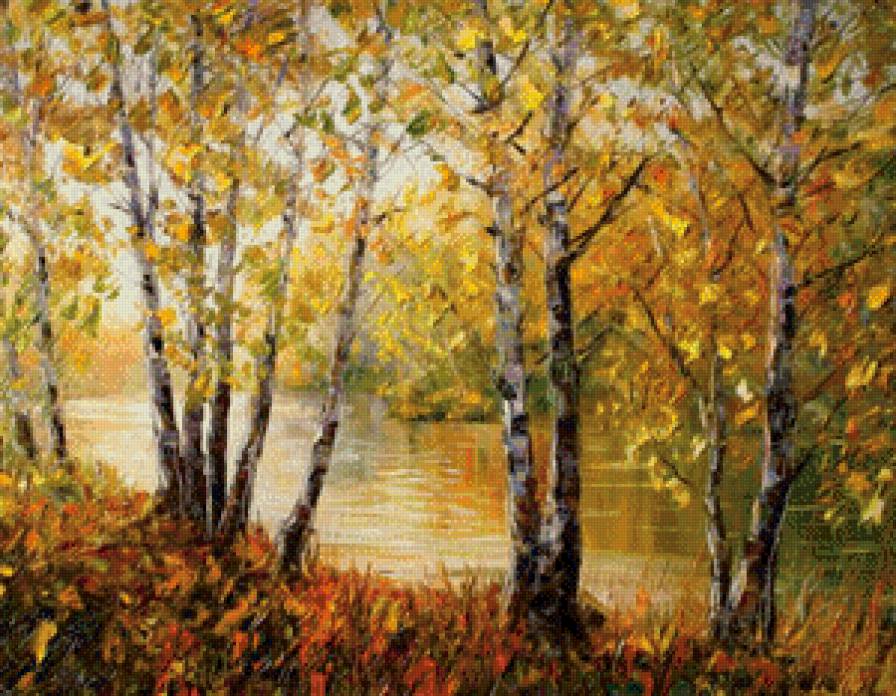 Берёзки - лес, осенний пейзаж, березы, осень - предпросмотр