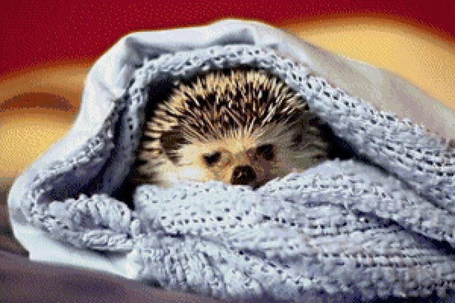 Ёжик в шарфе - ежик, шарф, голубой шарф - предпросмотр