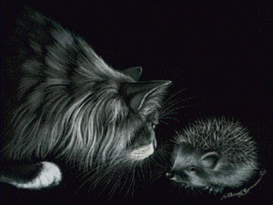 Кот и ёж - животные, кошки - предпросмотр