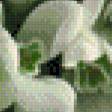 Предпросмотр схемы вышивки «весна» (№465721)