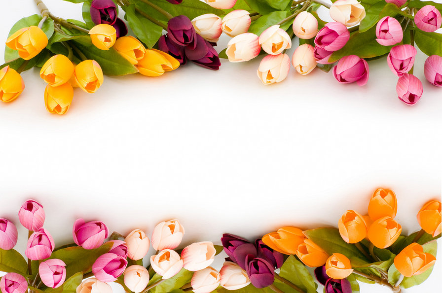 тюльпаны - рамка, весна, цветы - оригинал