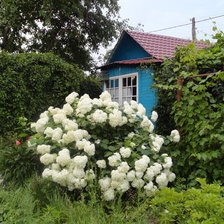 Схема вышивки «№465854»