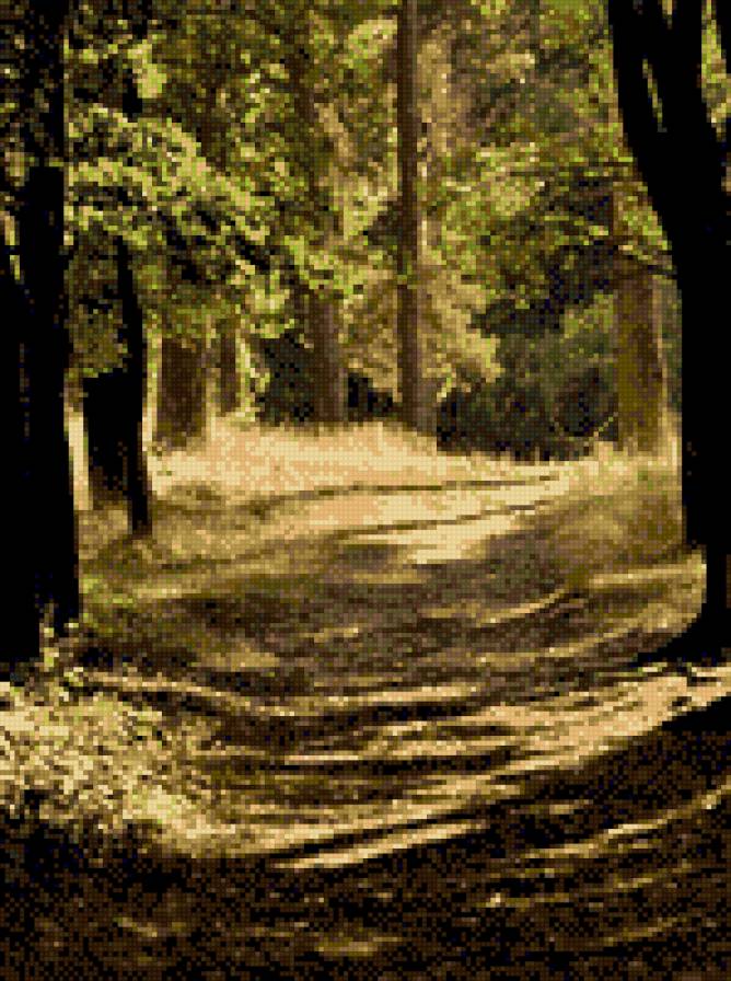 Солнечный лес - дорога, сосны, природа, солнечный день, лес - предпросмотр