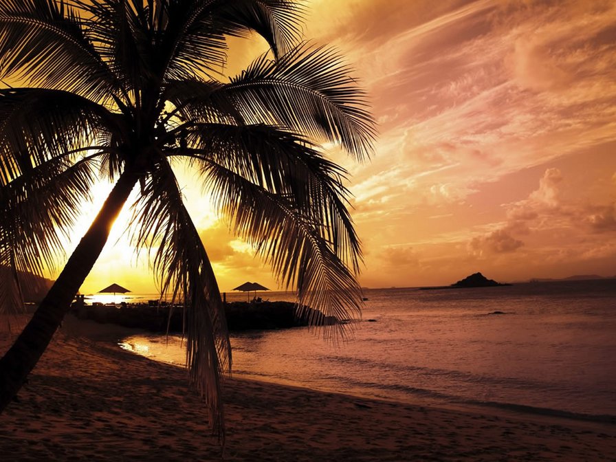 Закат с пальмами - пальмы, пейзаж, природа, закат, экзотика, море - оригинал