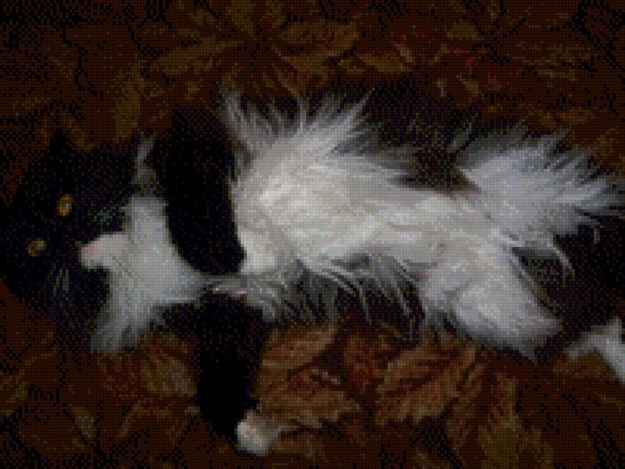 Вася - кошки - предпросмотр