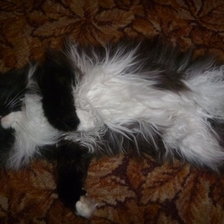 Схема вышивки «Вася»