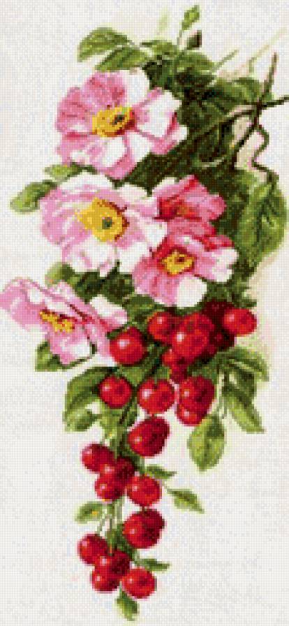 вишни в цвету - вишня, цветы - предпросмотр