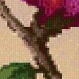 Предпросмотр схемы вышивки «Магнолия» (№466255)