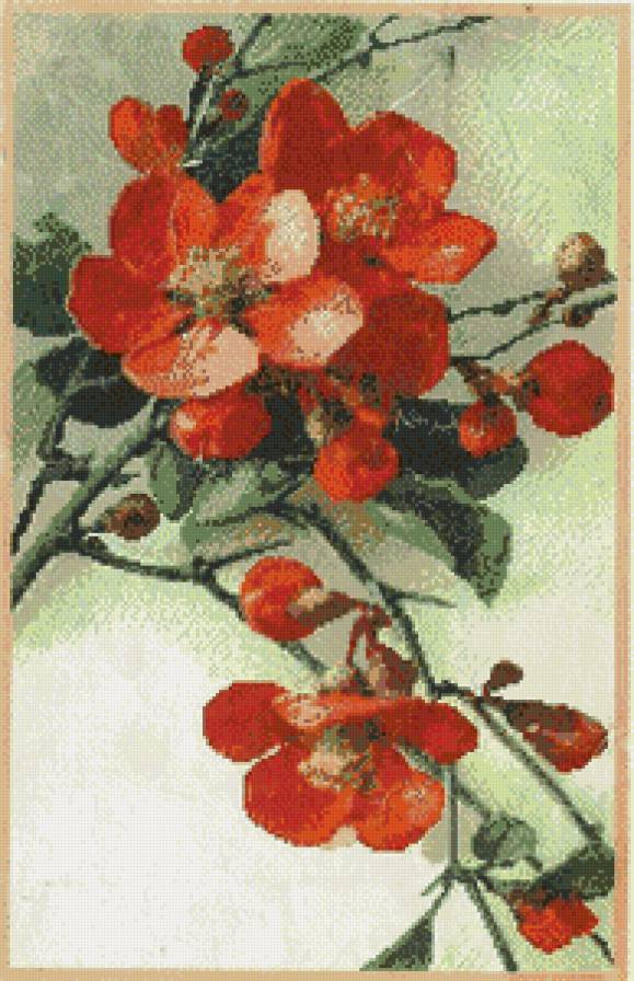 шиповник в цвету - шиповник, цветы, ветка - предпросмотр