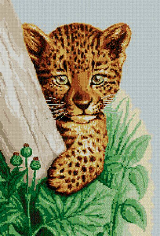 леопард - леопард - предпросмотр