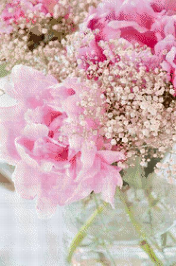 Нежность - нежность, пионы, цветы, букет - предпросмотр