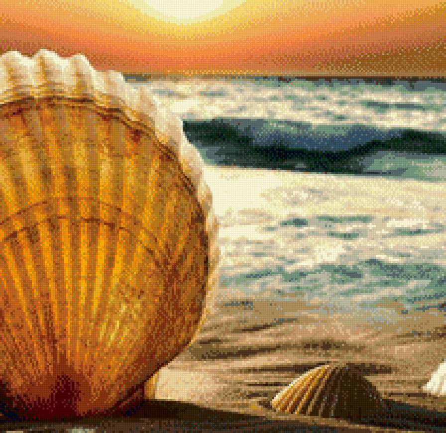 Ракушки - лето, море, закат, пляж, ракушки, песок - предпросмотр