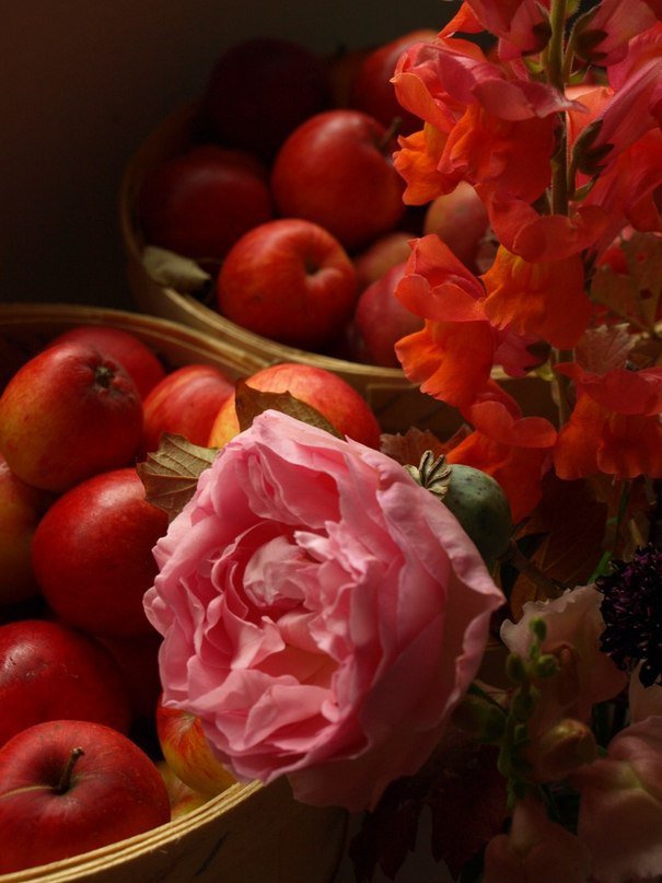 Осенний натюрморт - цветы, натюрморт, осень, розы, яблоки - оригинал