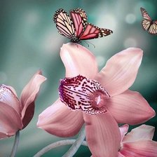 Схема вышивки «Бабочка на орхидее»