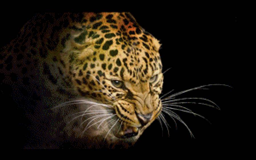 леопард - животные, леопард, кошка - предпросмотр