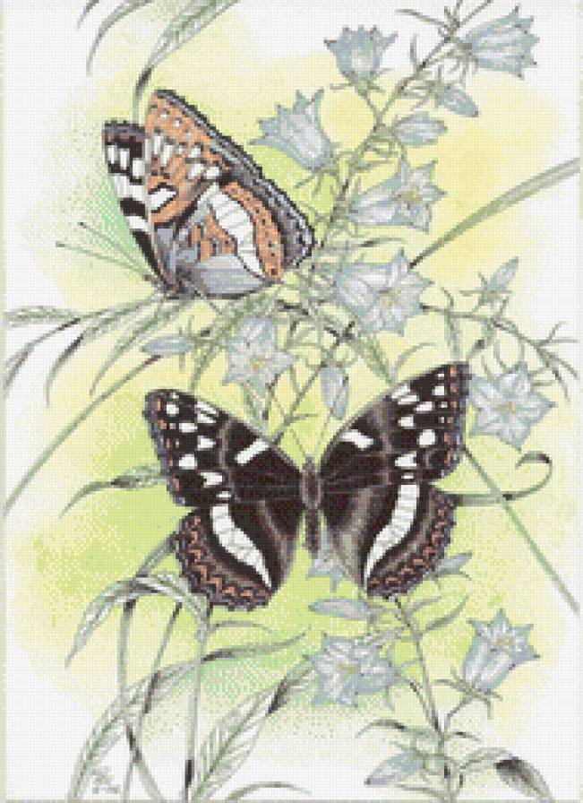 бабочки на цветах - картина - предпросмотр