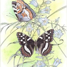 Оригинал схемы вышивки «бабочки на цветах» (№466652)