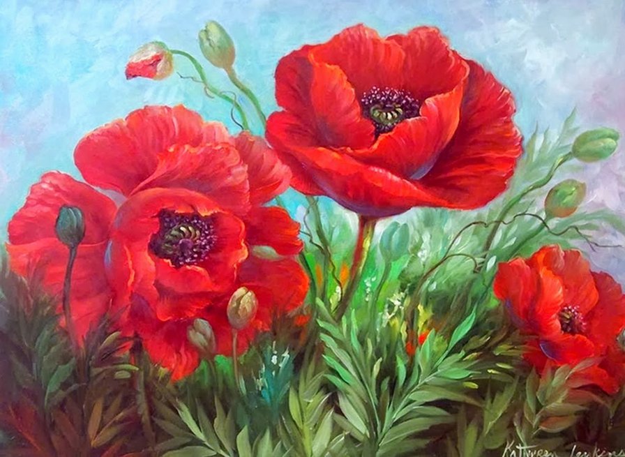 маки - цветы - оригинал