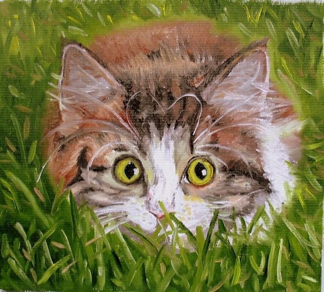 кот - животные, кот - оригинал