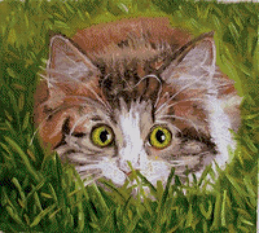 кот - животные, кот - предпросмотр