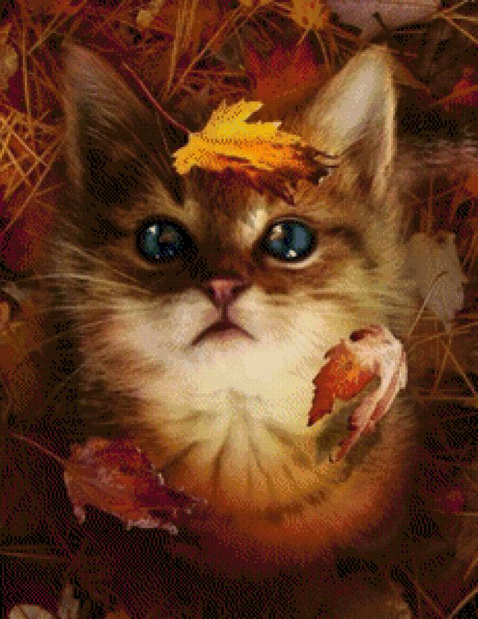 Осенний котенок - времена года, осень, животные, кошки - предпросмотр