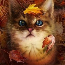 Оригинал схемы вышивки «Осенний котенок» (№467028)