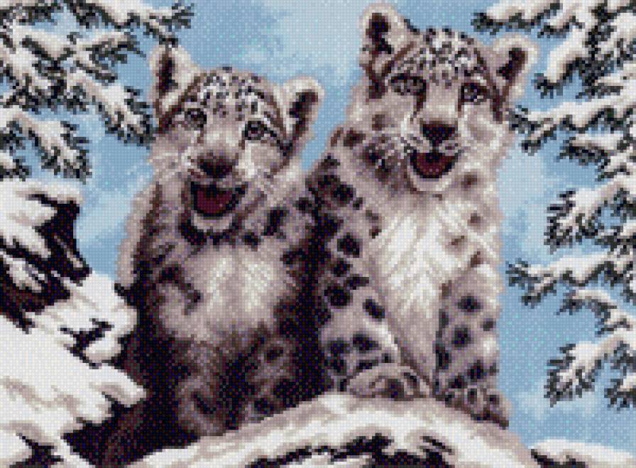 тигрята - животные - предпросмотр