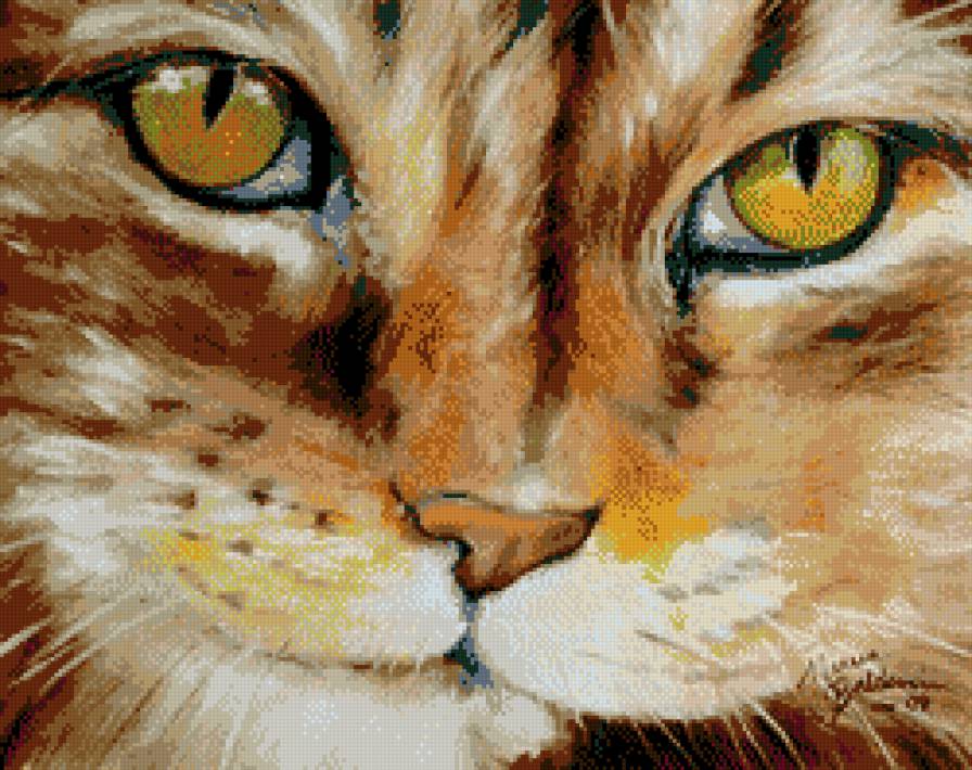 мордочка котика Марсия Болдуин - предпросмотр